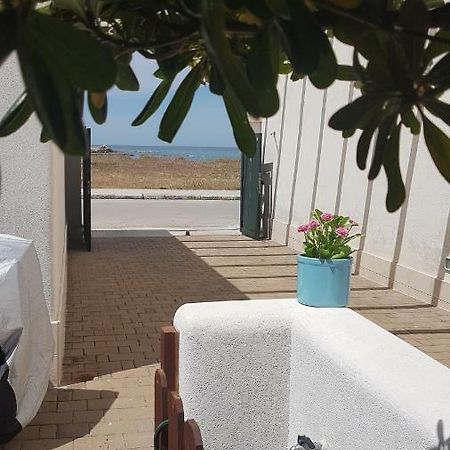 טורה סנטה סאבינה Villa Maggi Maurizia מראה חיצוני תמונה